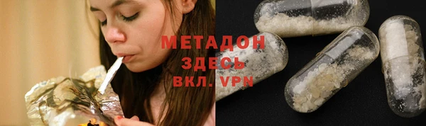 прущие грибы Дмитриев