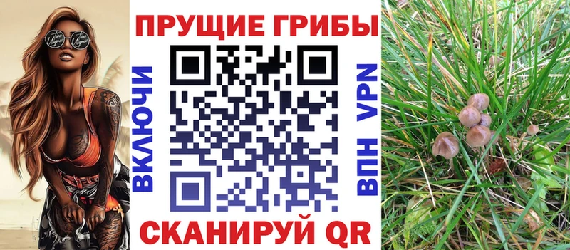 Псилоцибиновые грибы мухоморы  Знаменск 